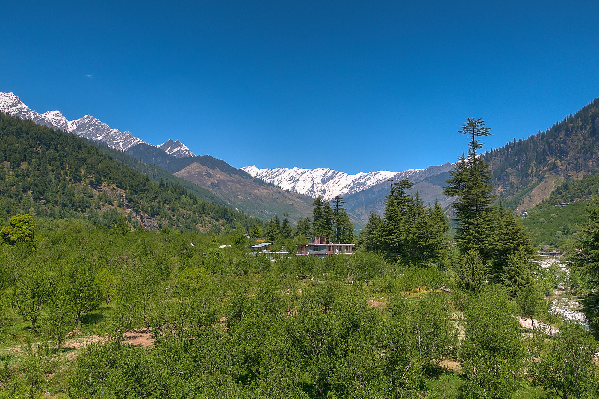 Hotel Treebo Trend Celebriti Manali Vashist Exterior foto